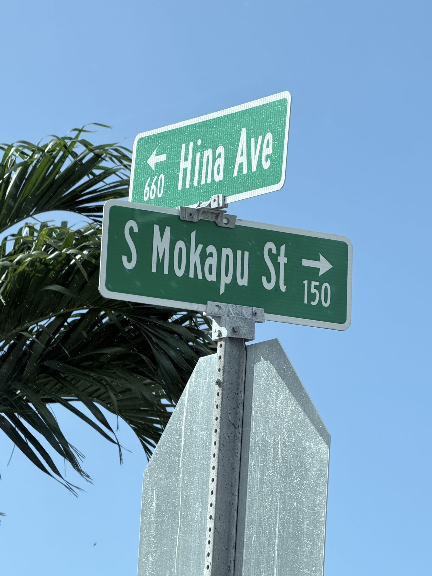 IMG 0829